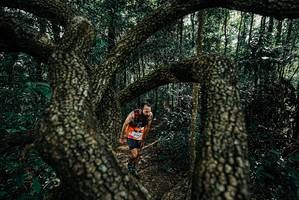 BIB: 
                            <button type="button" onclick="openModal(25663798)" class="btn btn-primary btn-sm float-right btn-popup" data-toggle="modal" data-target=".modal-high-quality">
                        <i class="fas fa-shopping-cart"></i> Add to Cart
                    </button>
                                            <button type="button" onclick="isThisMe(25663798, true)" class="btn btn-success btn-sm float-right btn-popup btn-isme hidden" data-toggle="tooltip" data-placement="bottom" title="นี่คือรูปของคุณใช่ไหม คลิกที่นี่เพื่อเอาเข้าอัลบั้ม">
                        <i class="fas fa-plus"></i> Add to album
                    </button>
                    <button type="button" onclick="isThisMe(25663798, false)" class="btn btn-warning btn-sm float-right btn-popup btn-isnotme hidden">
                        <i class="fas fa-ban"></i> Remove from album
                    </button>